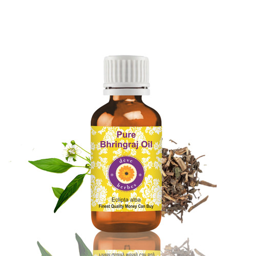 Bhringraj oil - bhringraj, (eclipta